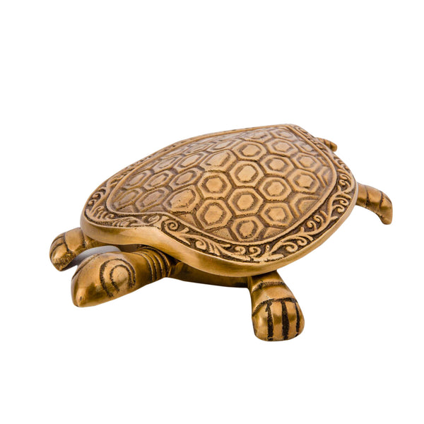 exotico tortuga brass trinket box